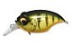 Megabass Griffon SR-X New Воблер Megabass  GG Kasumi Tiger