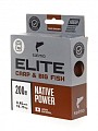 Salmo Elite Carp & Big Fish 200/045