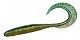 Megabass Kemuri Curly Мягкие приманки Megabass  2.5" green gold