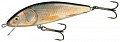 Salmo Warrior Crank 150F RR