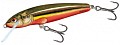 Salmo Minnow 50F RBD