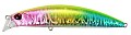 DUO Beach Walker Axcion 95S #CPA0080
