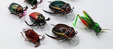 Новинка в Рыбомании! Приманка "Жук"