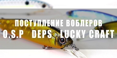 Поступление популярных воблеров на щуку!