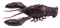 Megabass Sleeper Craw scuppernong red