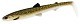 Westin Мягкие приманки Westin BullTeez Shadtail 18cm Natural Pike