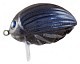 Salmo Воблер Salmo Lil'Bug 30F DBE