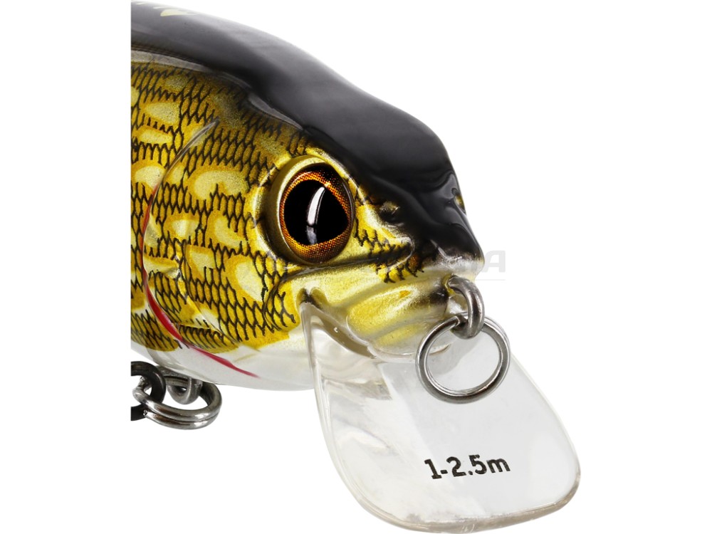  RawBite Crankbait 17 Low Floating