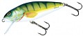 Salmo Perch DR 80 PH