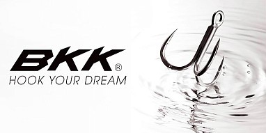 Поступление продукции BKK