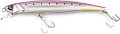 FishyCat Tigercub 205F #R24