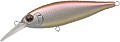 EverGreen Bank Shad 217