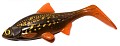 Ola Lures Hooligan Roach Motorpike