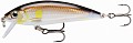 Rapala X-Rap CountDown XRCD07 AYU