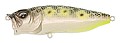 Megabass Pop Max Genroku Moss-La