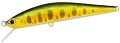 DUO Grace Minnow Elena 70F P34