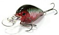 Lucky Craft Clutch MR 965 MS Gekiatsu Japan Shad