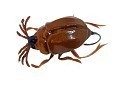 Chafer37 Воблер Chafer37 Майский жук уменьшенный