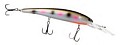 Bandit Deep Walleye A44