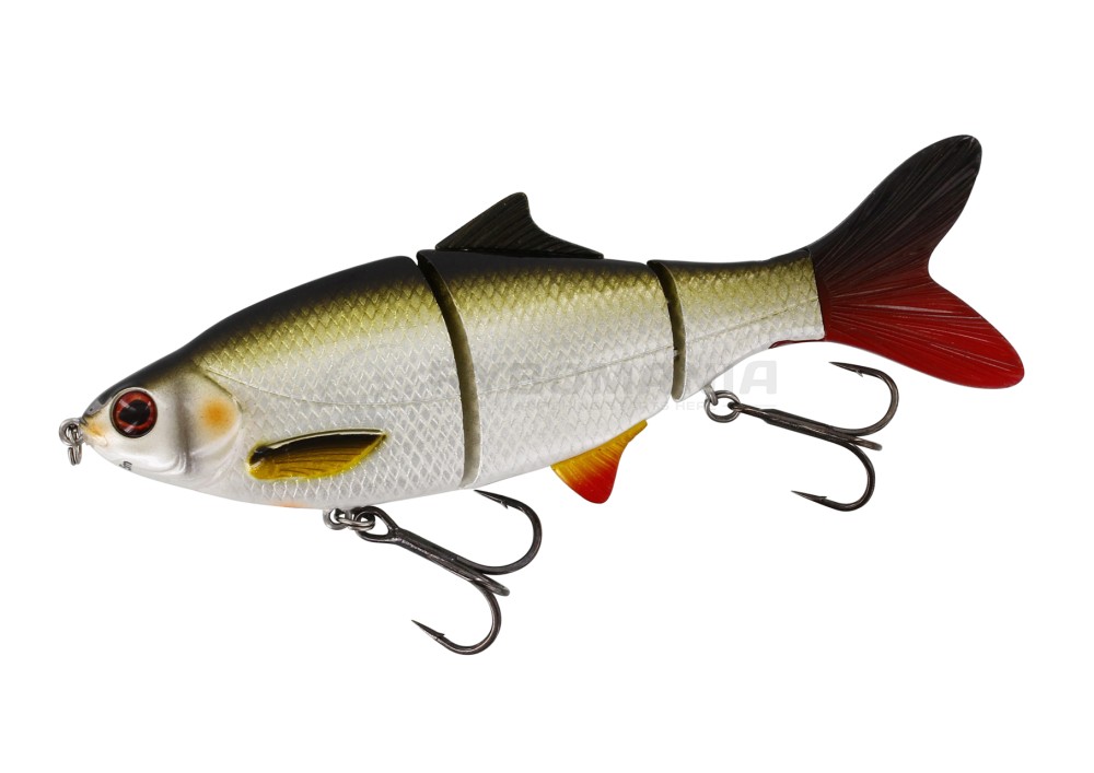  Ricky the Roach Swimbait SP