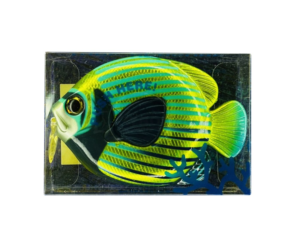  Fish Measurement Tape