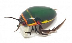 Chafer37 Воблер Chafer37 Плавунец PL-12-L