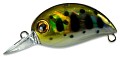 Zipbaits Baby Hickory SR №810