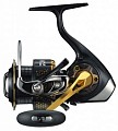 Daiwa Morethan 14 2510PE-H