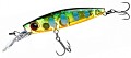 Pontoon21 GagaGoon 55SS-SR #810 MI Chartreuse Yamame Tiger