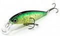 Lucky Craft Pointer 100 Lime Chart Tiger 170