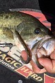 Worm 128 NK Hook  Worm 128 NK Hook