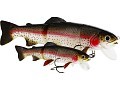 Tommy the Trout Hybrid 15 Low Floating