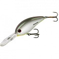 Bomber Fat Free Shad BD8F BD8FRX