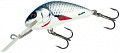 Salmo Hornet 25S D