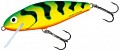 Salmo Perch SR 120 GT