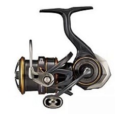 Daiwa Безынерционная катушка Daiwa Caldia LT 21 FC 2500S