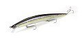 Tide Minnow Slim 175SP  Tide Minnow Slim 175SP