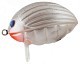 Salmo Воблер Salmo Lil'Bug 30F PBG