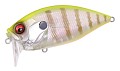 Megabass Over Rev Crank Burning Shad PM Chart Back Gill