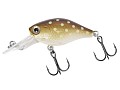 Lucky John Original Chubby DR 40F 032