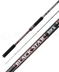 Спиннинги Xesta Black Star Rock Спиннинги Xesta Black Star Rock