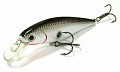 Lucky Craft Pointer 78 077 OR Tennessee Shad