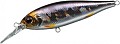 EverGreen Bank Shad 209