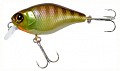 Jackall Chubby 41 noike gill