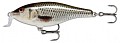 Rapala Shallow Shad Rap SSR09 ROL