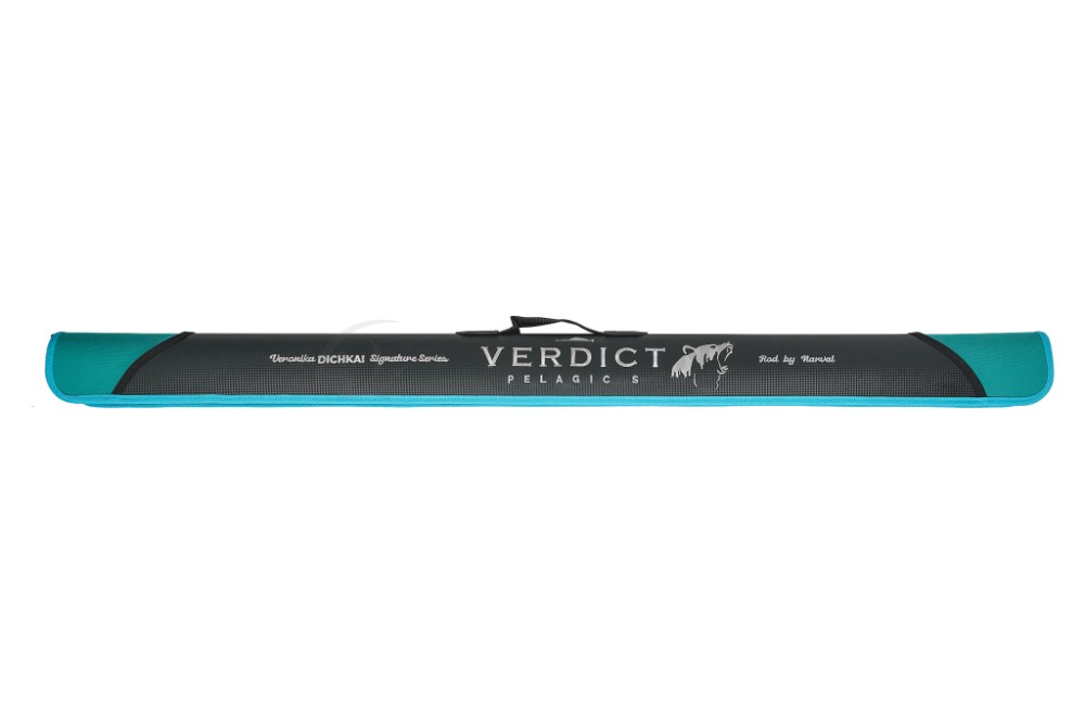  Verdict