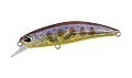 Spearhead Ryuki 60S  Spearhead Ryuki 60S