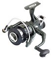 Diamond Carp 5  Diamond Carp 5