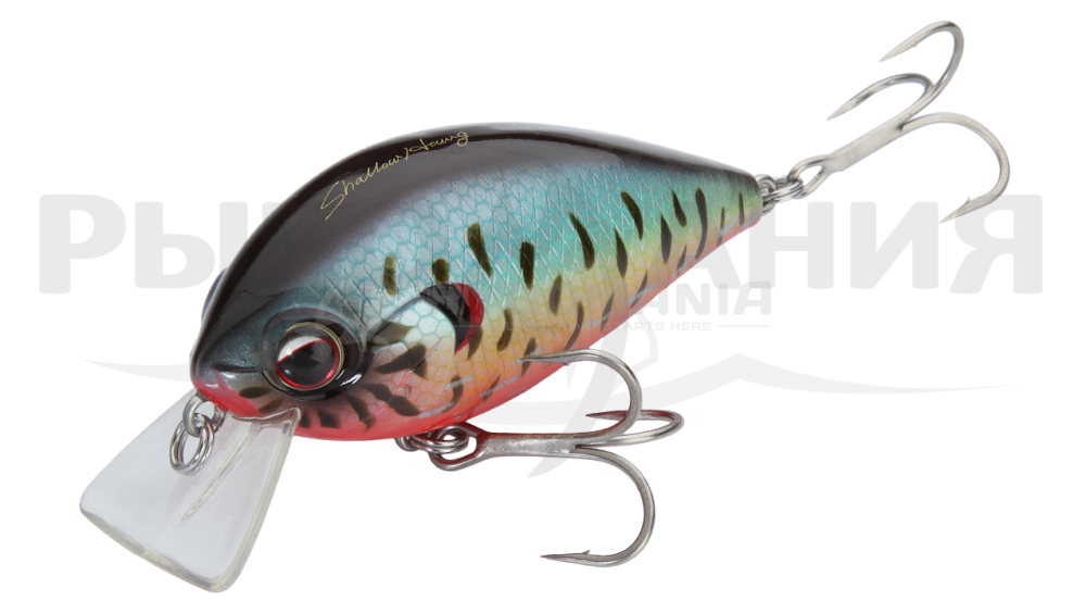  Combat Crank Shallow Hawg