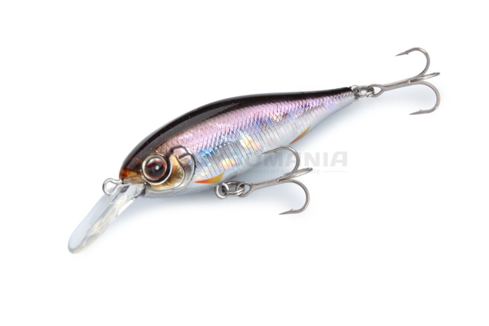  Bank Shad